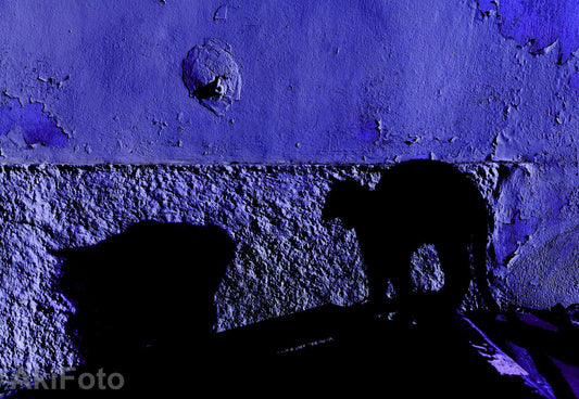 「怒り」　-石の壁シリーズ-